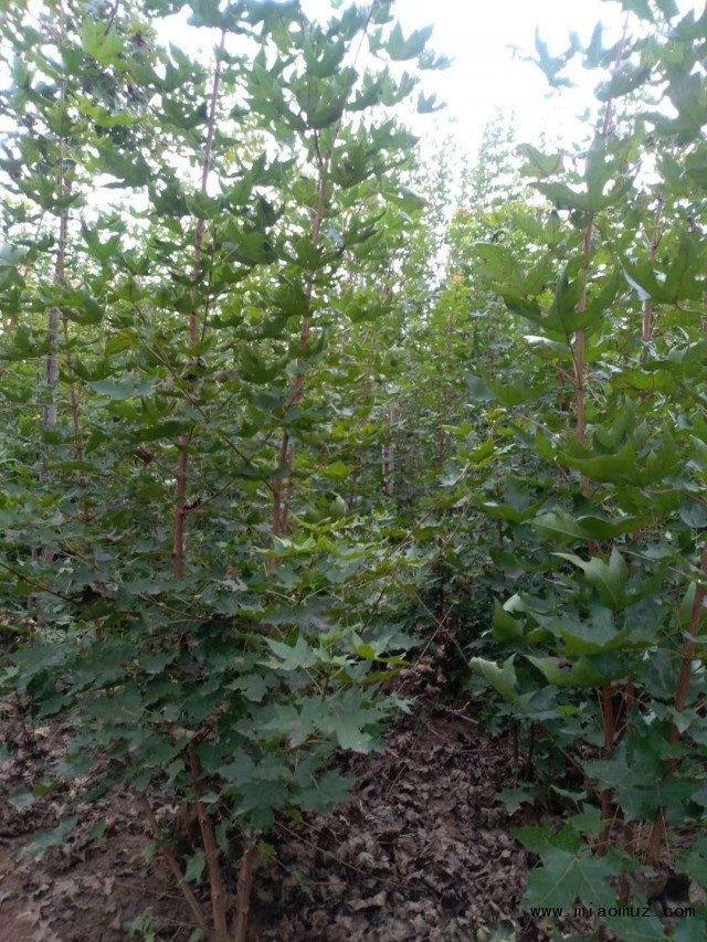 微信图片_20181007161139