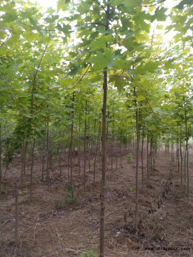 微信图片_20181007161200