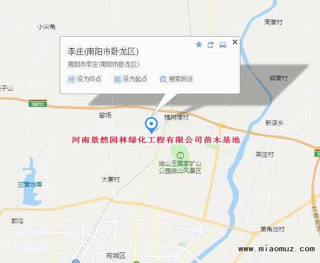 河南景然园林绿化工程有限公司苗木基地