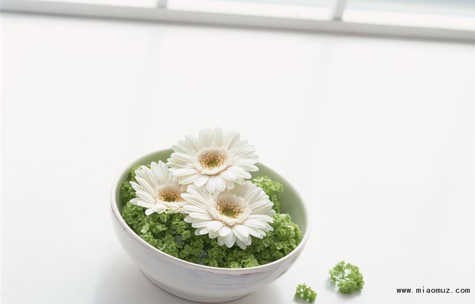 家庭插花