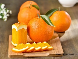 种脐橙的步骤您都了解吗