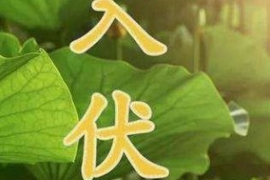 入伏一周的天气   热!