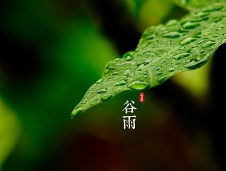 谷雨到了！请注意天气变化！